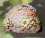 decorative garden accessories